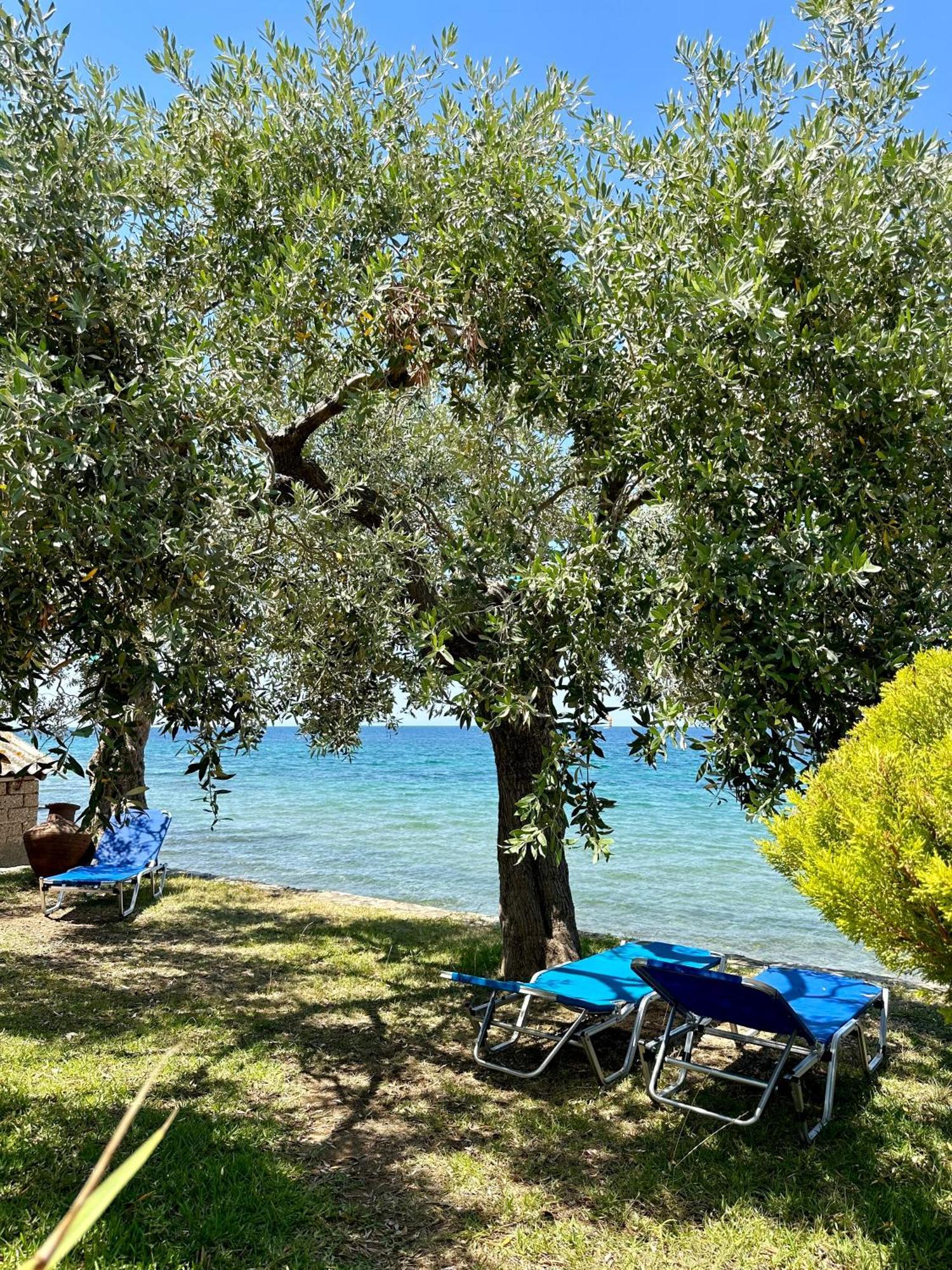 Manolis Studios Thassos Skála Kallirákhis Dış mekan fotoğraf